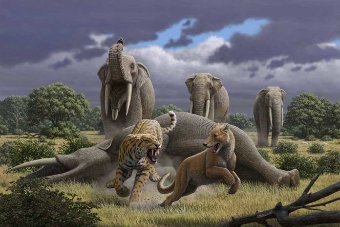 Reconstrucción de escena del yacimiento del Cerro de los Batallones. Ilustración: Mauricio Antón. Reconstrucción de escena del yacimiento del Cerro de los Batallones. Ilustración: Mauricio Antón.