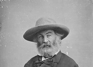 El poeta Walt Whitman en Washington, hacia 1865.