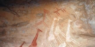 JIRAFAS y otros animales de la gran fauna junto con figuras humanas esquemáticas en Bou Dheir. Las fotografías