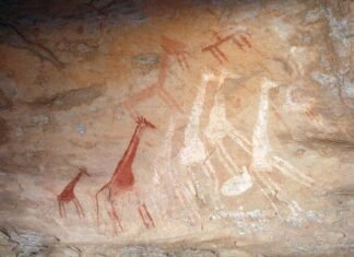 JIRAFAS y otros animales de la gran fauna junto con figuras humanas esquemáticas en Bou Dheir. Las fotografías