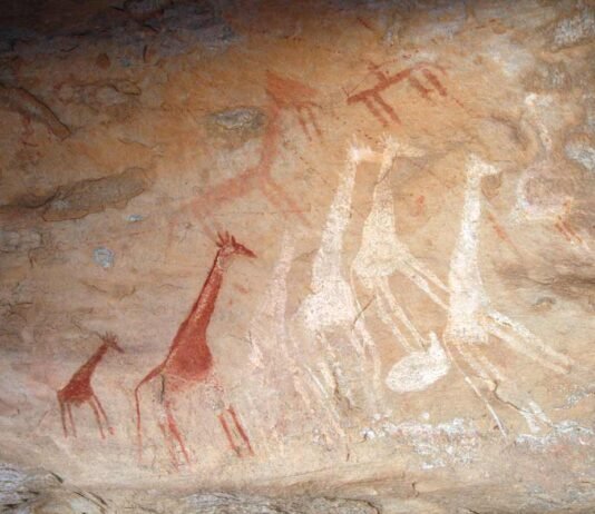 JIRAFAS y otros animales de la gran fauna junto con figuras humanas esquemáticas en Bou Dheir. Las fotografías