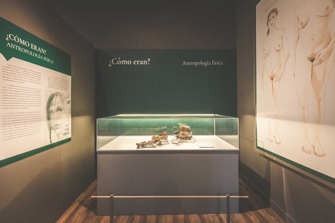 Vitrina de una de las salas del Museo Arqueológico de Murcia.