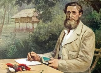 Retrato del científico Alfred Russel Wallace.