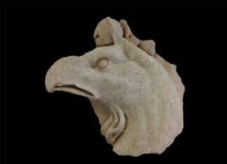 Grifo del Pórtico del Foro de Augusta Emérita (Mérida, Badajoz) © Consorcio Ciudad Monumental de Mérida.