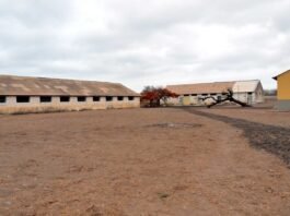 Interior del campo de concentración luso de Salazar dispuesto en Tarrafal.