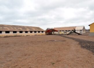 Interior del campo de concentración luso de Salazar dispuesto en Tarrafal.