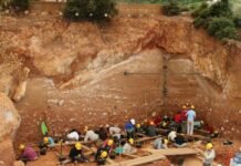 Una campaña de excavaciones en la Gran Dolina de Atapuerca (Burgos) en 2008.