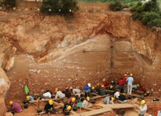 Una campaña de excavaciones en la Gran Dolina de Atapuerca (Burgos) en 2008.