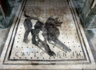 Cave canem cuidado con los perros