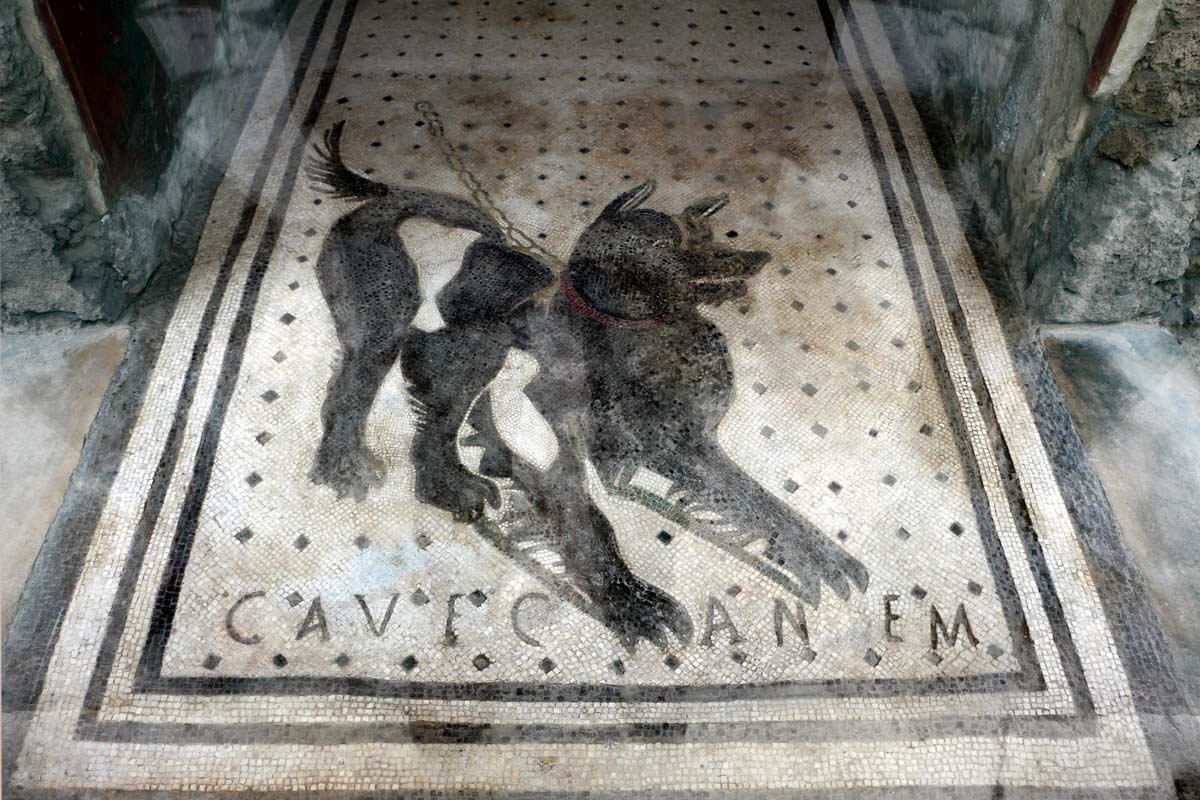 Cave canem cuidado con los perros