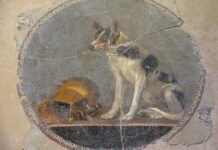 Emblema en mosaico ptolemaico, procedente de Alejandría, con la representación de un perro sentado junto a una vasija dorada (siglo II a.C.).