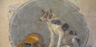 Emblema en mosaico ptolemaico, procedente de Alejandría, con la representación de un perro sentado junto a una vasija dorada (siglo II a.C.).