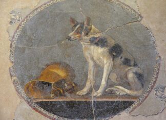 Emblema en mosaico ptolemaico, procedente de Alejandría, con la representación de un perro sentado junto a una vasija dorada (siglo II a.C.).