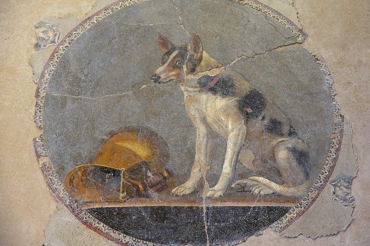 Emblema en mosaico ptolemaico, procedente de Alejandría, con la representación de un perro sentado junto a una vasija dorada (siglo II a.C.).