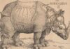 En 1515 apareció en Lisboa el primer rinoceronte vivo que se veía en Europa desde los tiempos de los espectáculos del Imperio romano.
