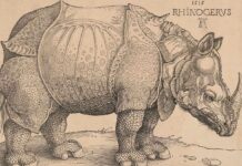 En 1515 apareció en Lisboa el primer rinoceronte vivo que se veía en Europa desde los tiempos de los espectáculos del Imperio romano.