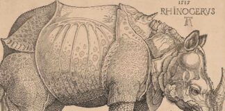 En 1515 apareció en Lisboa el primer rinoceronte vivo que se veía en Europa desde los tiempos de los espectáculos del Imperio romano.