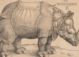 En 1515 apareció en Lisboa el primer rinoceronte vivo que se veía en Europa desde los tiempos de los espectáculos del Imperio romano.