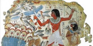 El uso del bumerán en Egipto