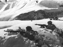 ¿Por qué cambió Hitler los planes de Fall Blau enterrando cuanto tenía la Wehrmacht en Stalingrado? Es una de las incógnitas que la obra no logra resolver.