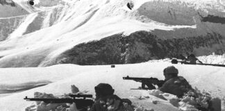 ¿Por qué cambió Hitler los planes de Fall Blau enterrando cuanto tenía la Wehrmacht en Stalingrado? Es una de las incógnitas que la obra no logra resolver.