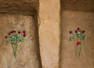 Combinar disciplinas para mejorar el conocimiento Exhumación de la fosa de Guadalajara. Asociación para la Recuperación de la Memoria Histórica (ARMH)