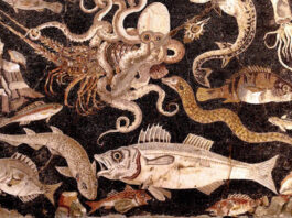 A César le gustaban las morenas Muestrario de los peces preferidos por la gastronomía romana, entre ellos, las morenas (mosaico de Pompeya, Nápoles, Museo Arqueológico).