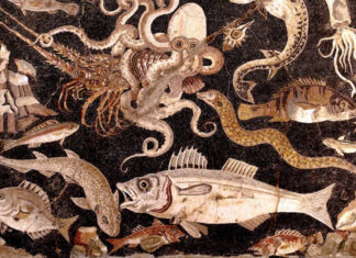 Muestrario de los peces preferidos por la gastronomía romana, entre ellos, las morenas (mosaico de Pompeya, Nápoles, Museo Arqueológico).