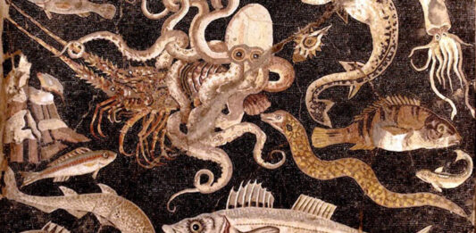 Muestrario de los peces preferidos por la gastronomía romana, entre ellos, las morenas (mosaico de Pompeya, Nápoles, Museo Arqueológico).