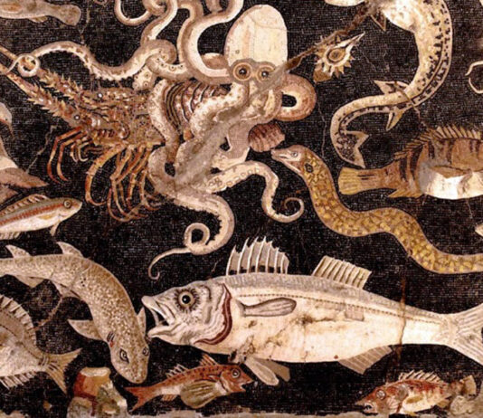 Muestrario de los peces preferidos por la gastronomía romana, entre ellos, las morenas (mosaico de Pompeya, Nápoles, Museo Arqueológico).