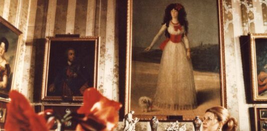 Redescubriendo a la duquesa de Alba La duquesa de Alba en en el salón Goya del Palacio de Liria.